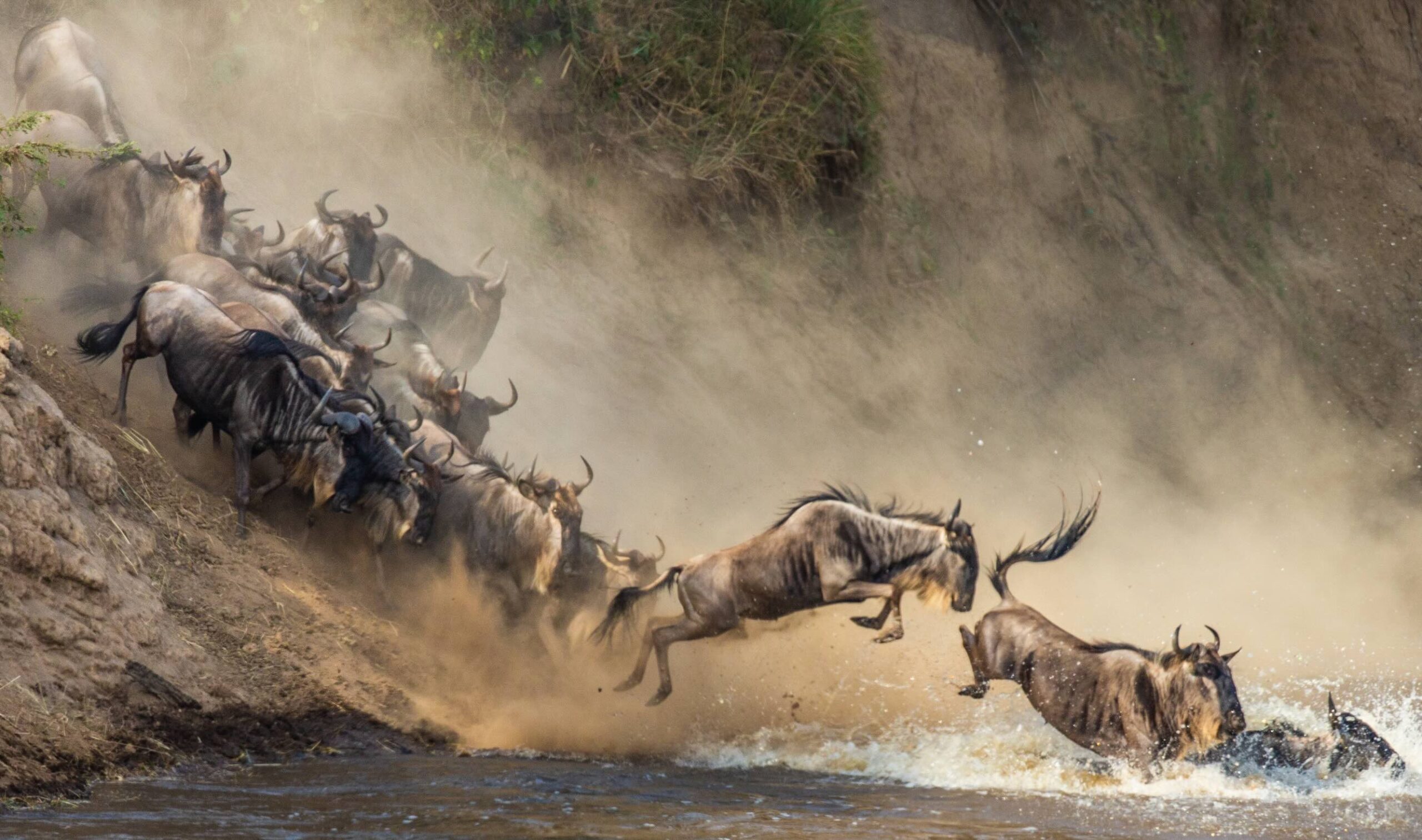Nyasi Tented Camp Serengeti Tanzania Great Migration
