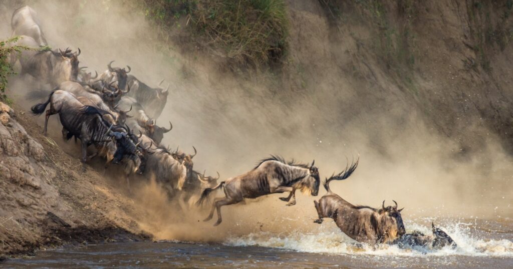 Your ultimate guide to the Great Migration